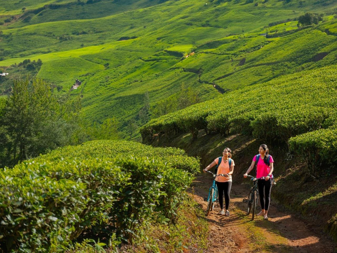 Le Montfort Resort Munnar Exteriör bild